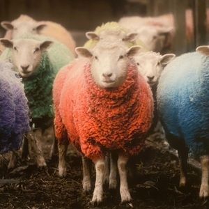 Meet your Posher, Eve